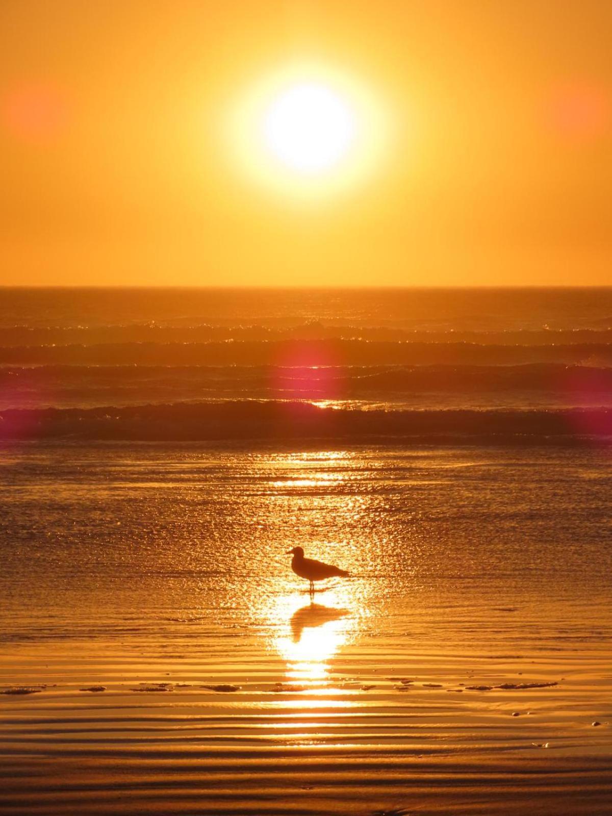 كيب تاون Beachmusic المظهر الخارجي الصورة